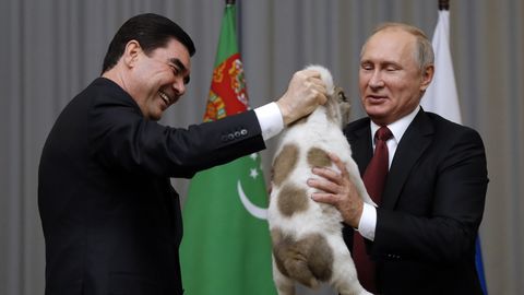 Зачем главы государств дарят Владимиру Путину щенков?
