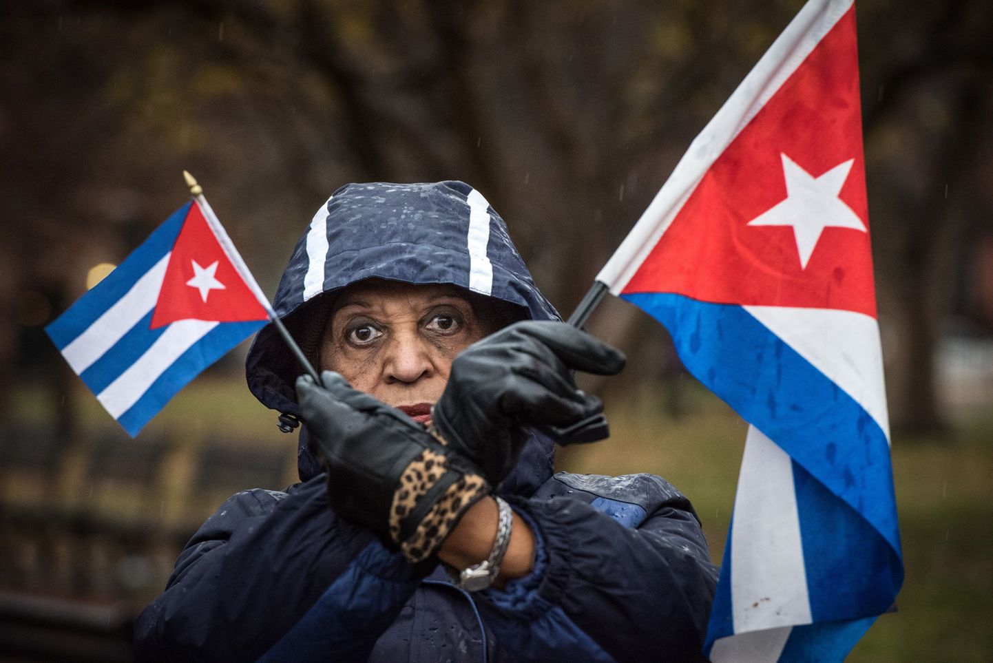 Violetta Pons of Miami, Fla., holds Cuban flags to raise awareness of continued oppression and human rights abuses by the Castro regime during a rally across the street from the White House in Washington, D.C., on Thursday, Dec. 17, 2015. (Photo by Ken Cedeno/McClatchy DC/TNS) *** Please Use Credit from Credit Field ***