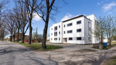 ARTHUR TAAVET ⟩ Koduostuks säästmine on noorele perele sama kui sinilindu püüda