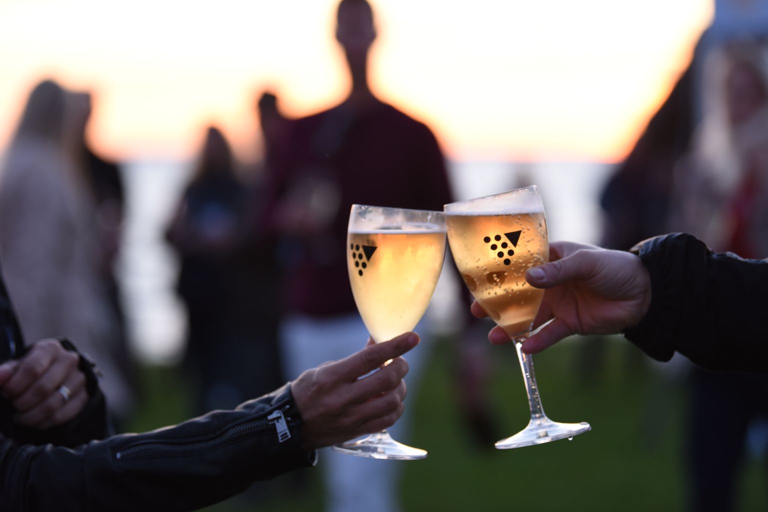 Viimsi Veinifestival 2021.