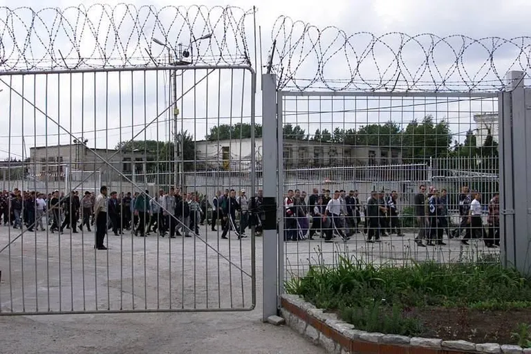 Artikli foto