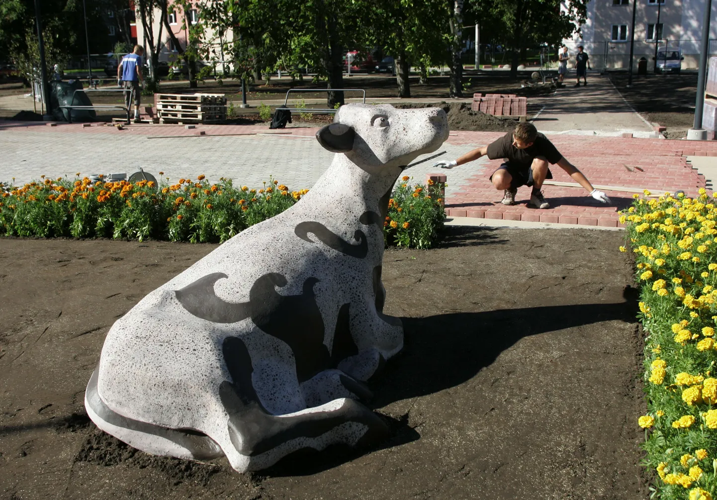 Kopliine Kalamaja pargis.