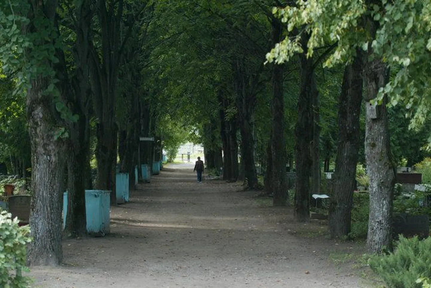 Кладбище Паулусе на улице Выру в Тарту.