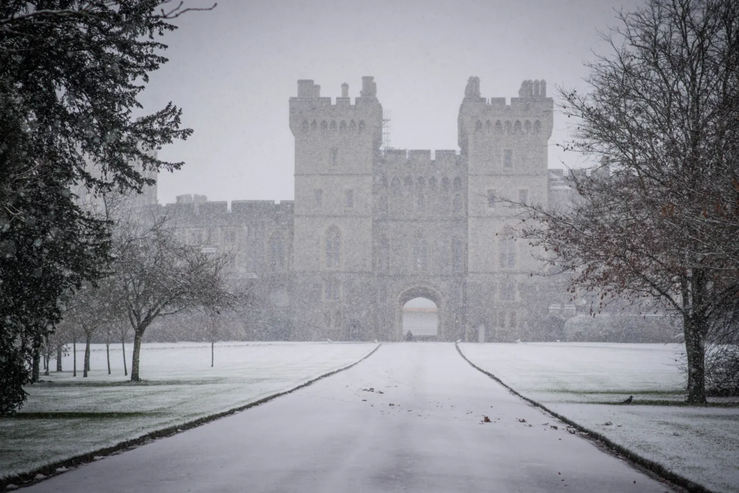 Windsori loss.