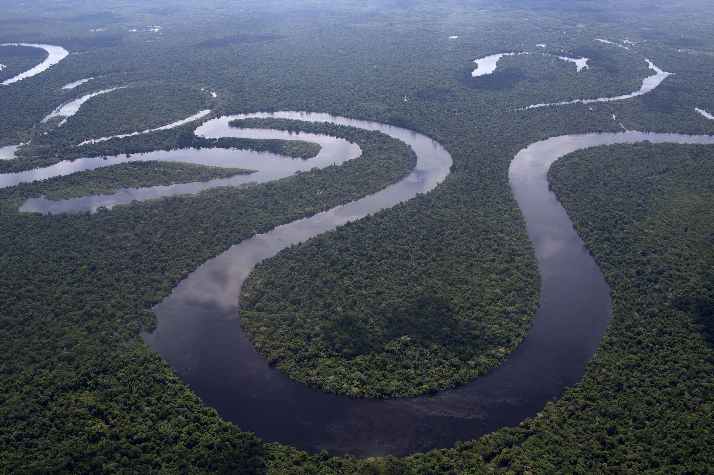 Nanay jõgi ja džungel Iquitose lähedal.