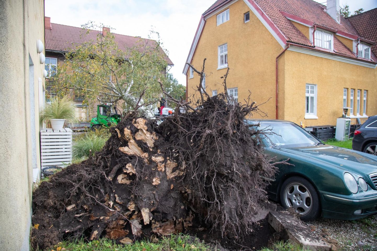 Laupäeval murdis tuul Viljandis Inkeri maja ukse kõrval suure kase.