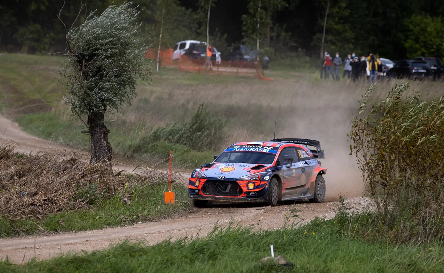 Rally Estonia.