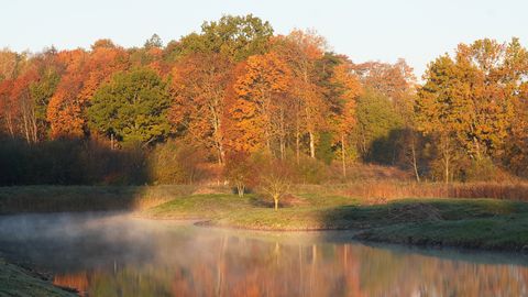 V Latviji v petek pričakovati nenavadno toplo vreme