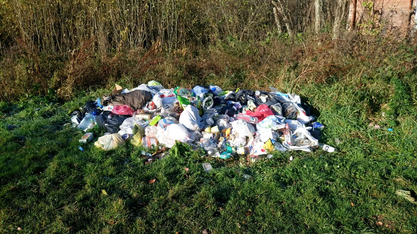 Isetekkeline prügimägi Emajõe luharajal Vorbusel.