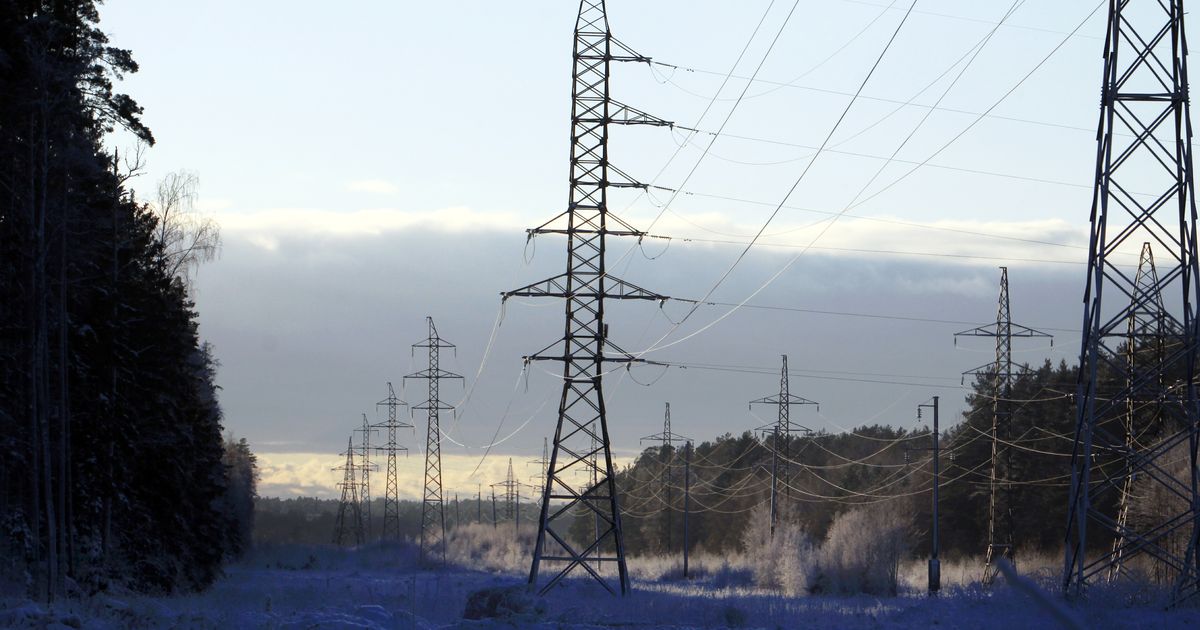 Reedel tõuseb börsihind neljandiku võrra
