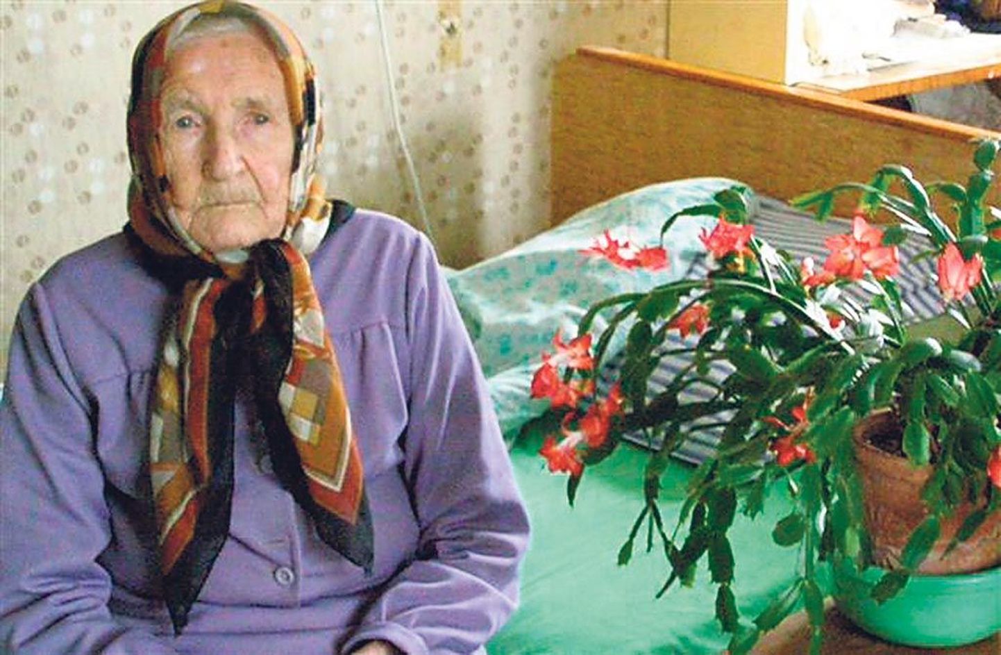Tori valla Piistaoja küla Lilleoja talu perenaine Alma-Katarina Puusepp sündis täna 102 aastat tagasi.