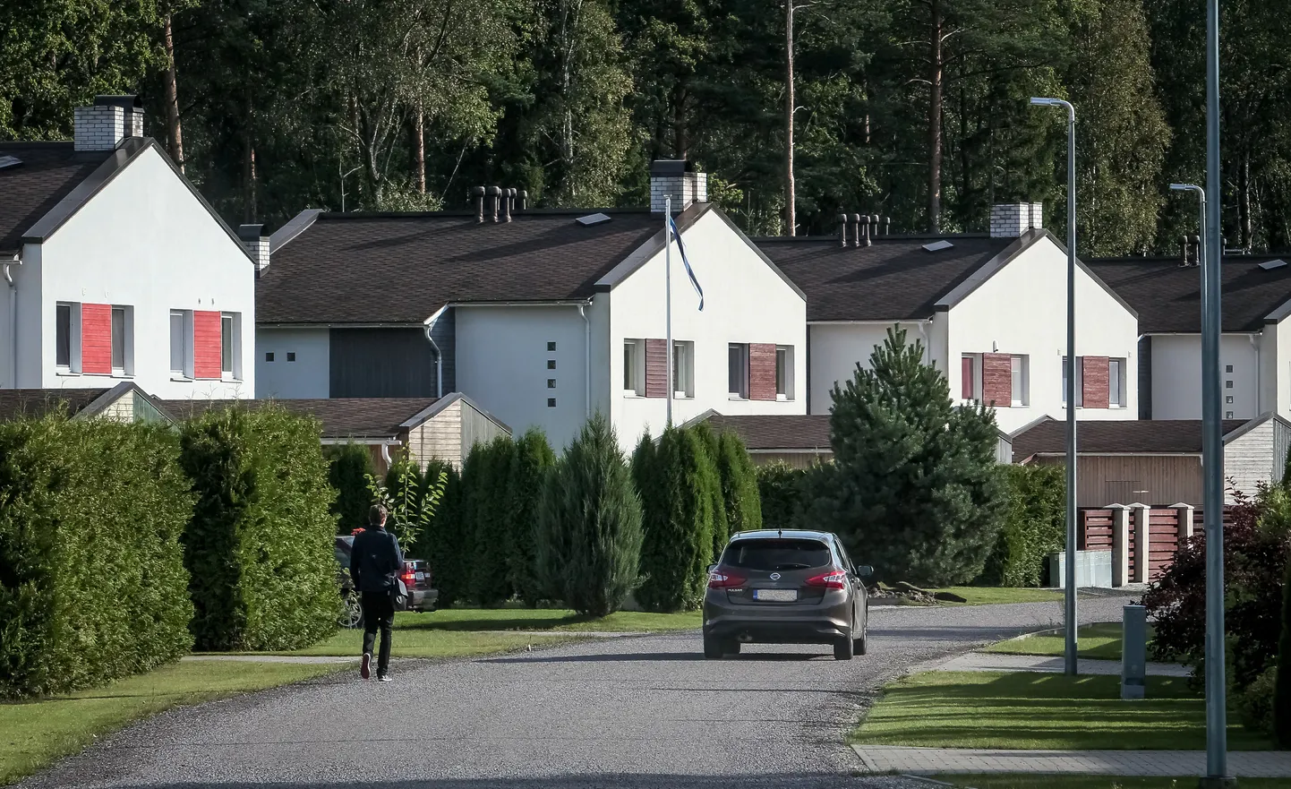 Kinnisvaraarendus