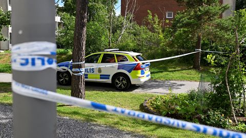 На юге Швеции девочка-подросток похитила, а затем убила другую