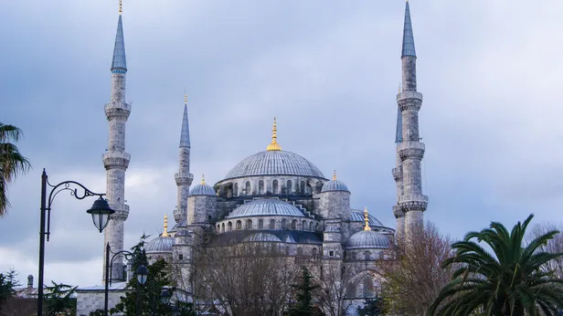 Artikli foto