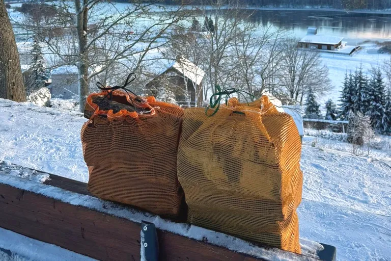 Artikli foto