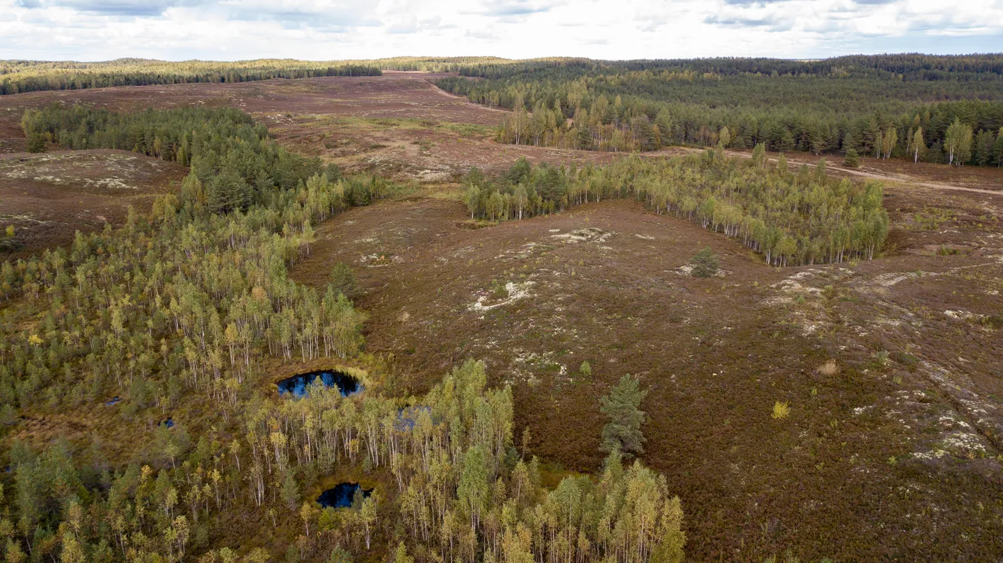 Põhja-Kõrvemaa, Jussi loodusrada.