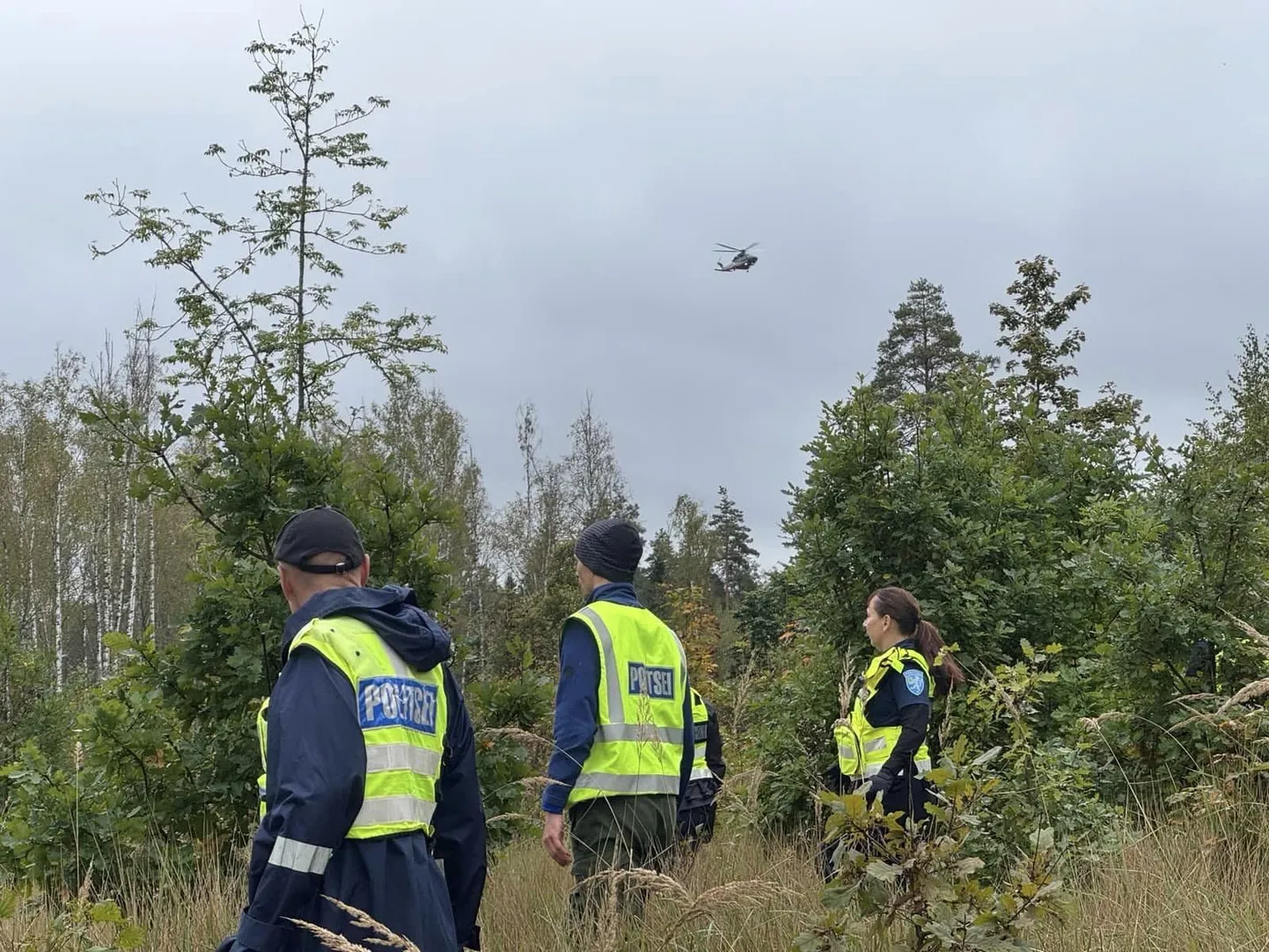 Kadunud naise otsingud laupäeval.