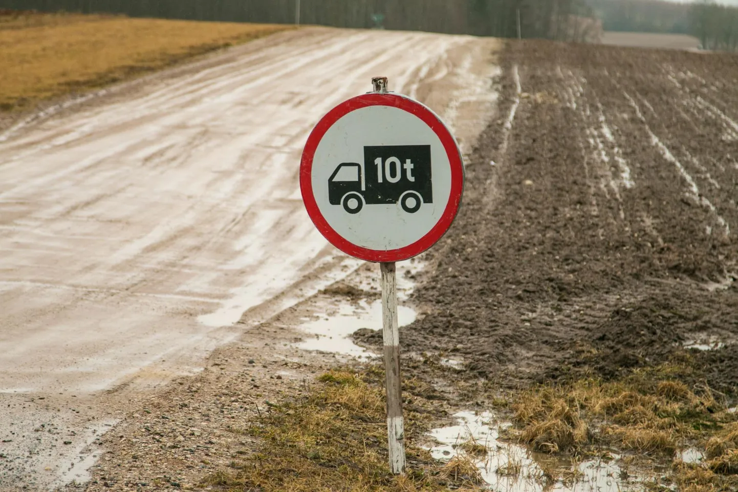 Teede säästmiseks kehtestatakse rasketele veokitele kevaditi ajutised liikumispiirangud. Nüüd võetakse need maha.