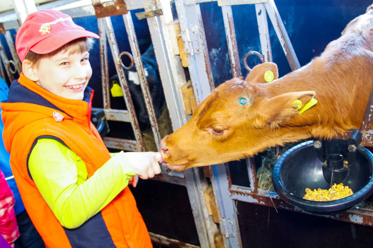 Valga põhikooli 2. klassi õpilasedKolmi farmis