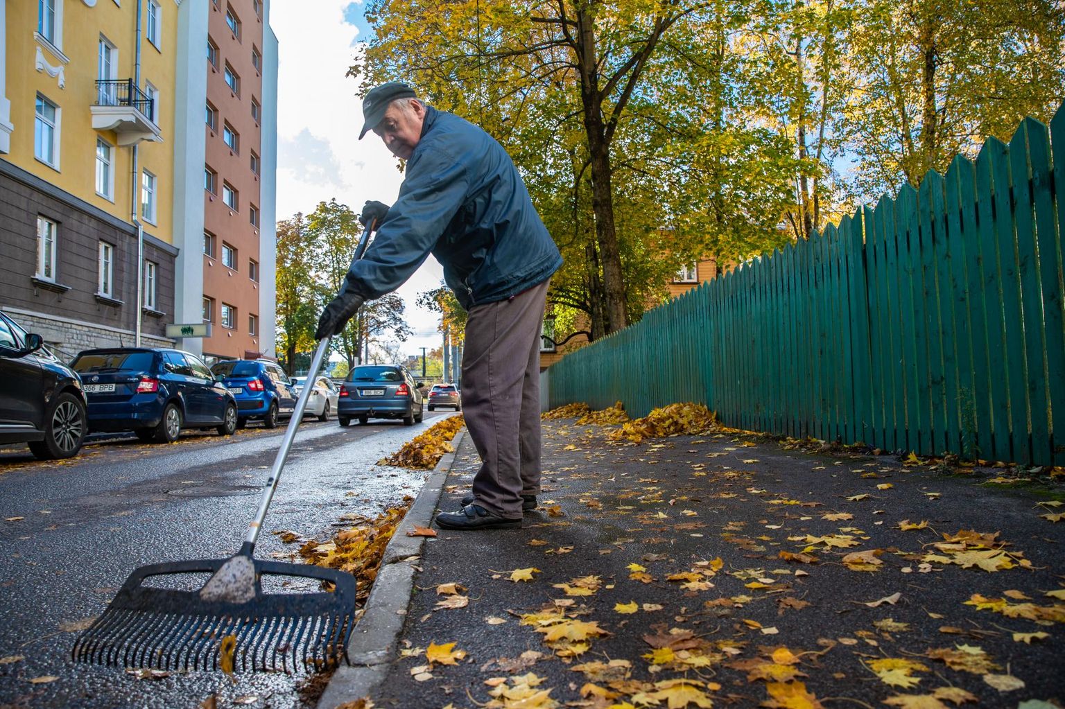 Langenud lehed on katnud Tallinna tänavad ja kergliiklusteed. 