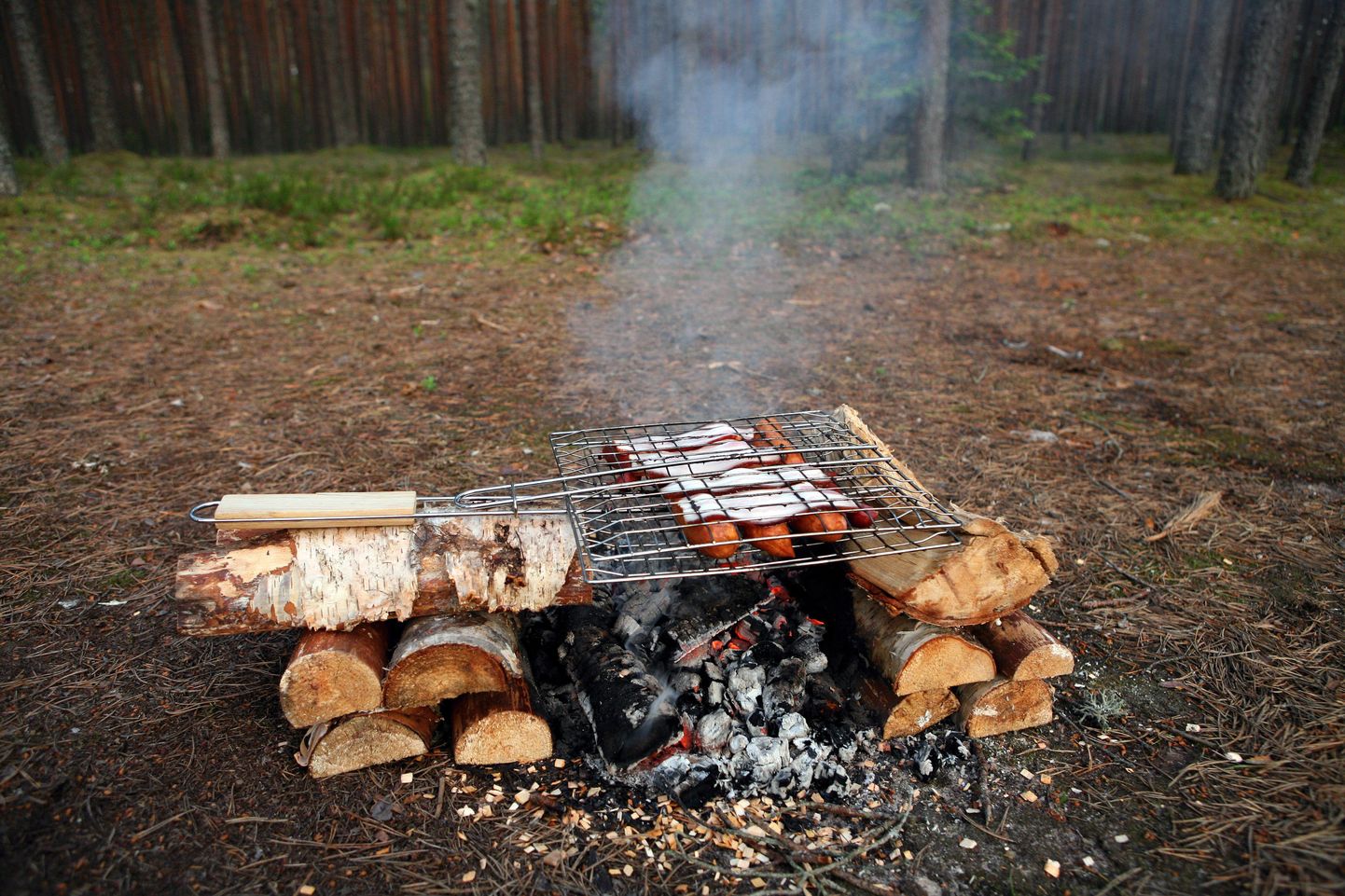 Kõpu alevikus algavad kell 10 Viljandimaa meistrivõistlused grillimises — Grillfest.