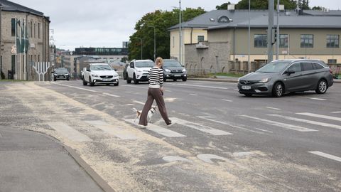 FOTOD ⟩ Tallinna tuiksoonel avastati mitme kilomeetri pikkune kütusereostus
