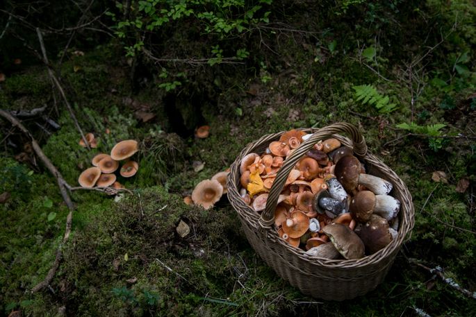 Заболевания, передающиеся половым путем (ЗППП)