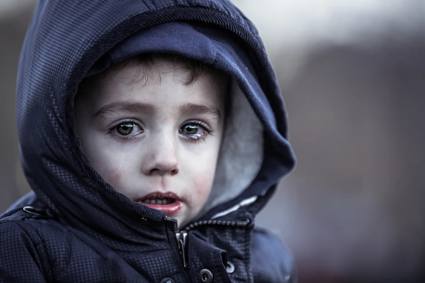 Artikli foto
