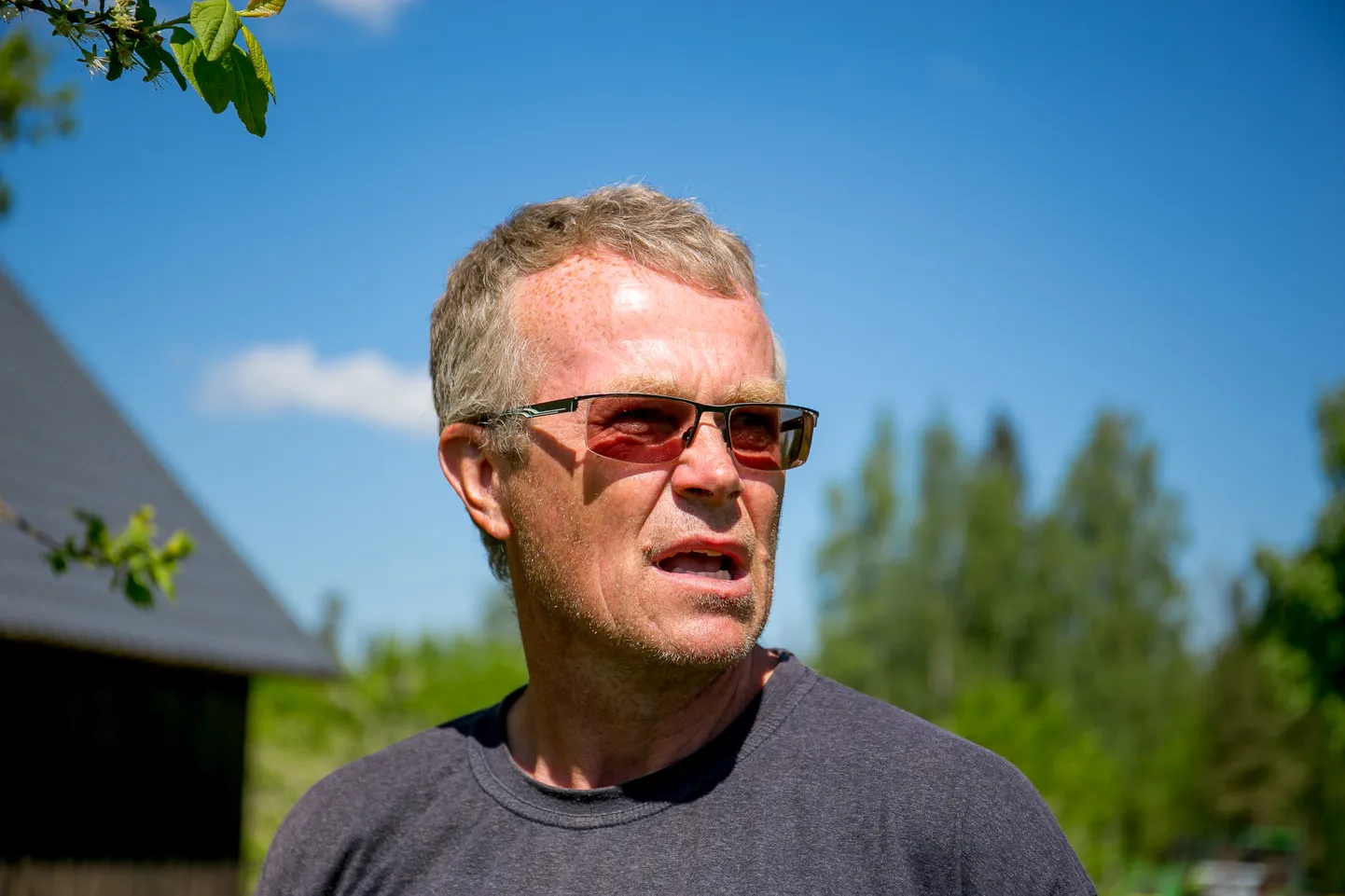 Õunapuud olid tänavu õisi täis ja selleks, et nii sel kui ka järgmisel aastal saaks head saaki, soovitab Harri Poom juuni keskel puudele lämmastikväetist anda.