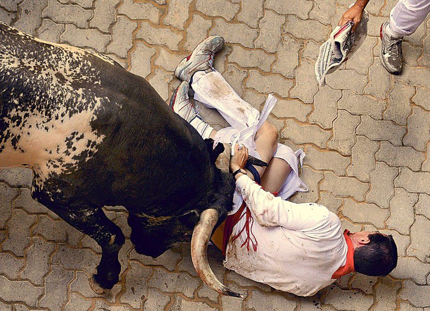 Участник фестиваля не сумел перехитрить быка и был вынужден признать себя побежденным.