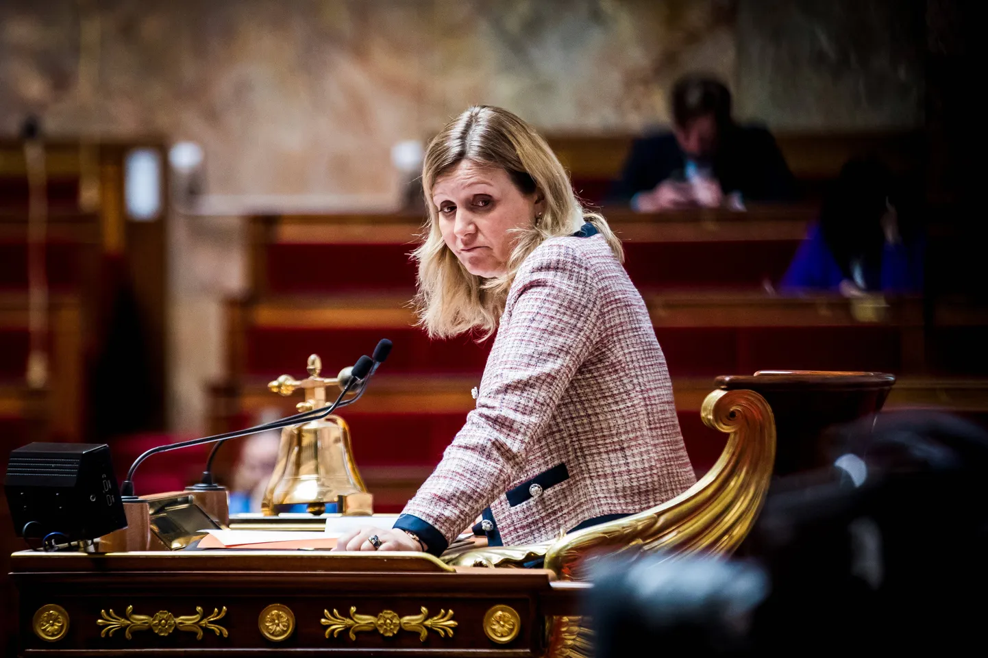 Francijas Nacionālās sapulces priekšsēdētāja Jaela Brona-Pivē