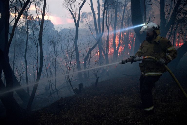 Tuletõrjuja kustutamas New Soutjh Walesis maastikupõlengut