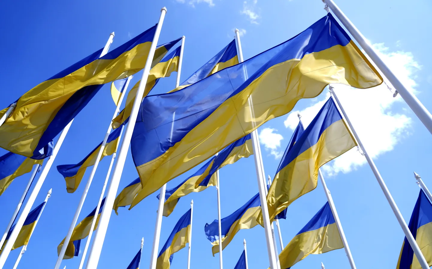 Ukrainas karogi skvērā pie Kongresu nama.