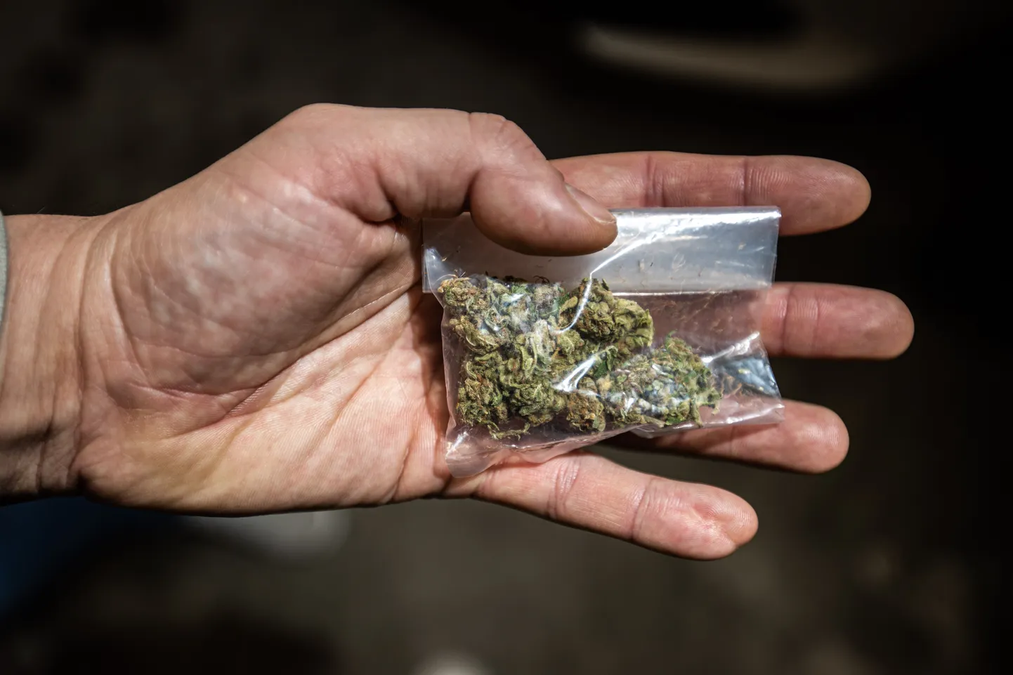 Politseinikud võtsid kinnipeetutelt ära muu hulgas ka 135 grammi kanepit. Foto on illustratiivne.
