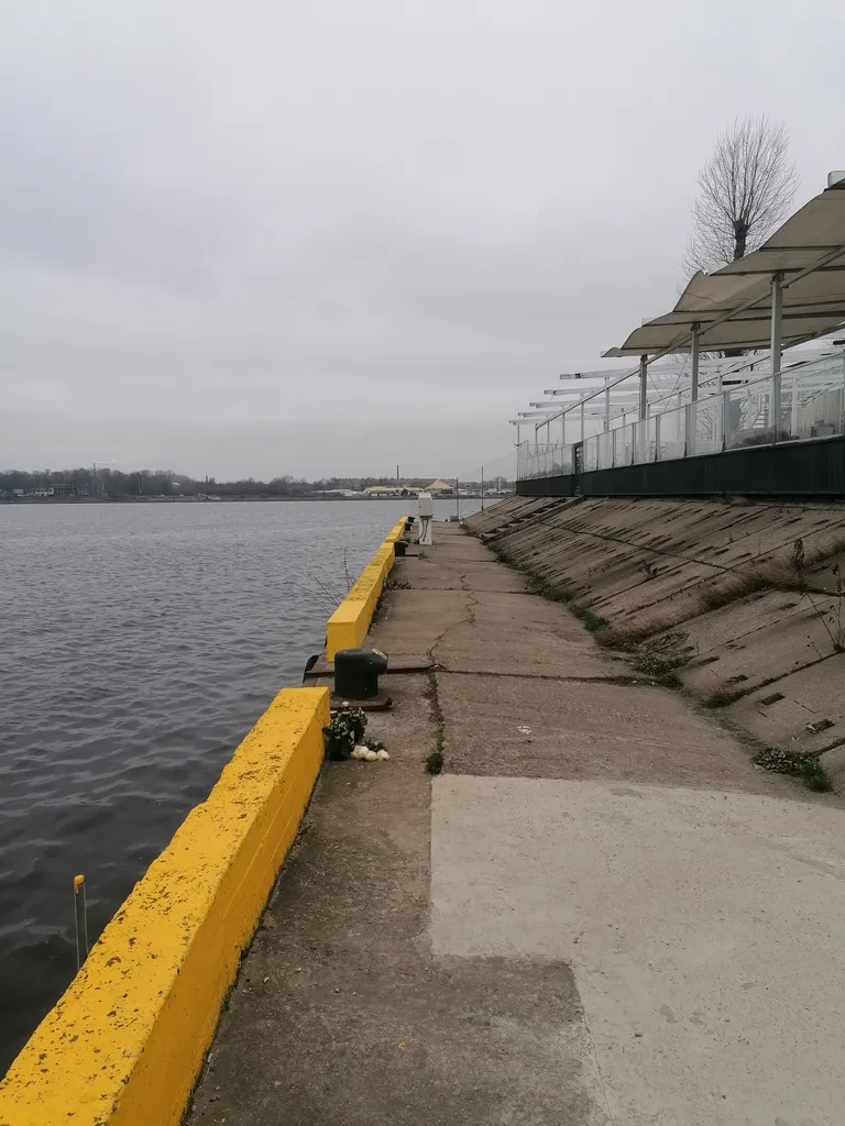 Фото статьи