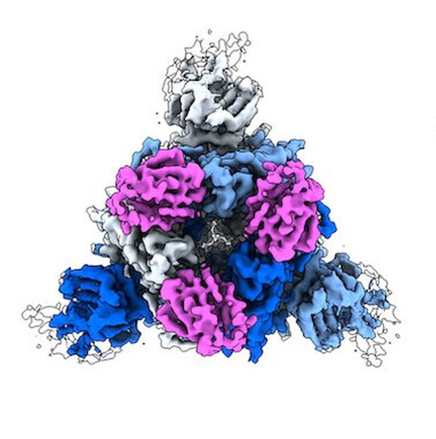 Roosana kujutatud molekul kleepub koroonaviiruse külge.