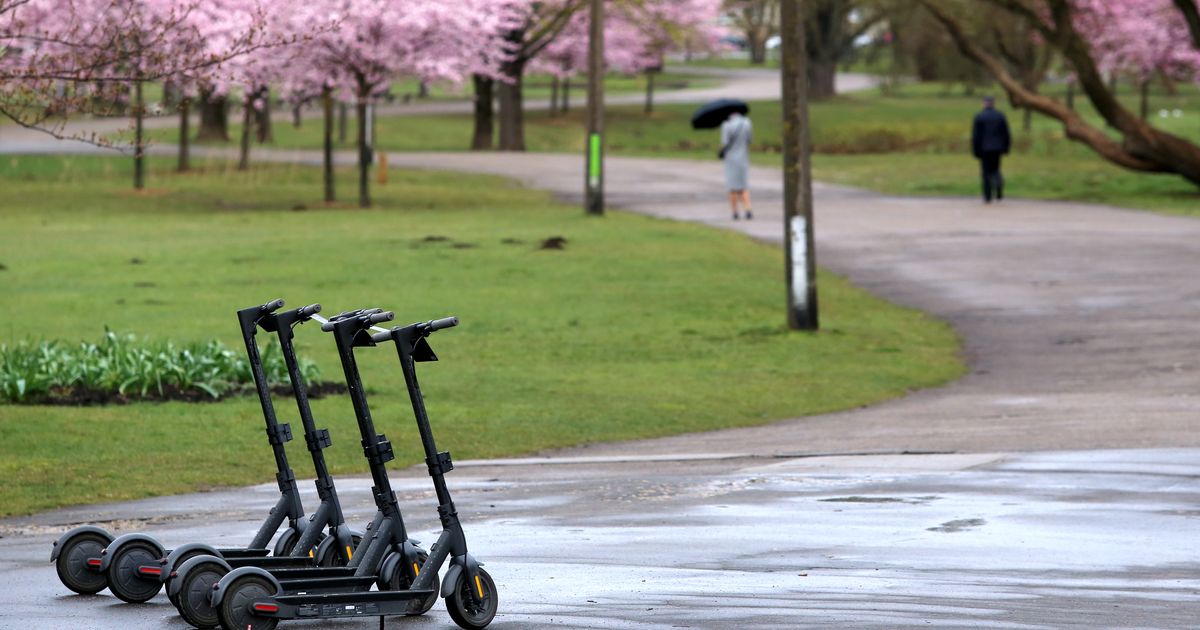 Арендованные электросамокаты бросают где попало. Скоро за это начнут ...