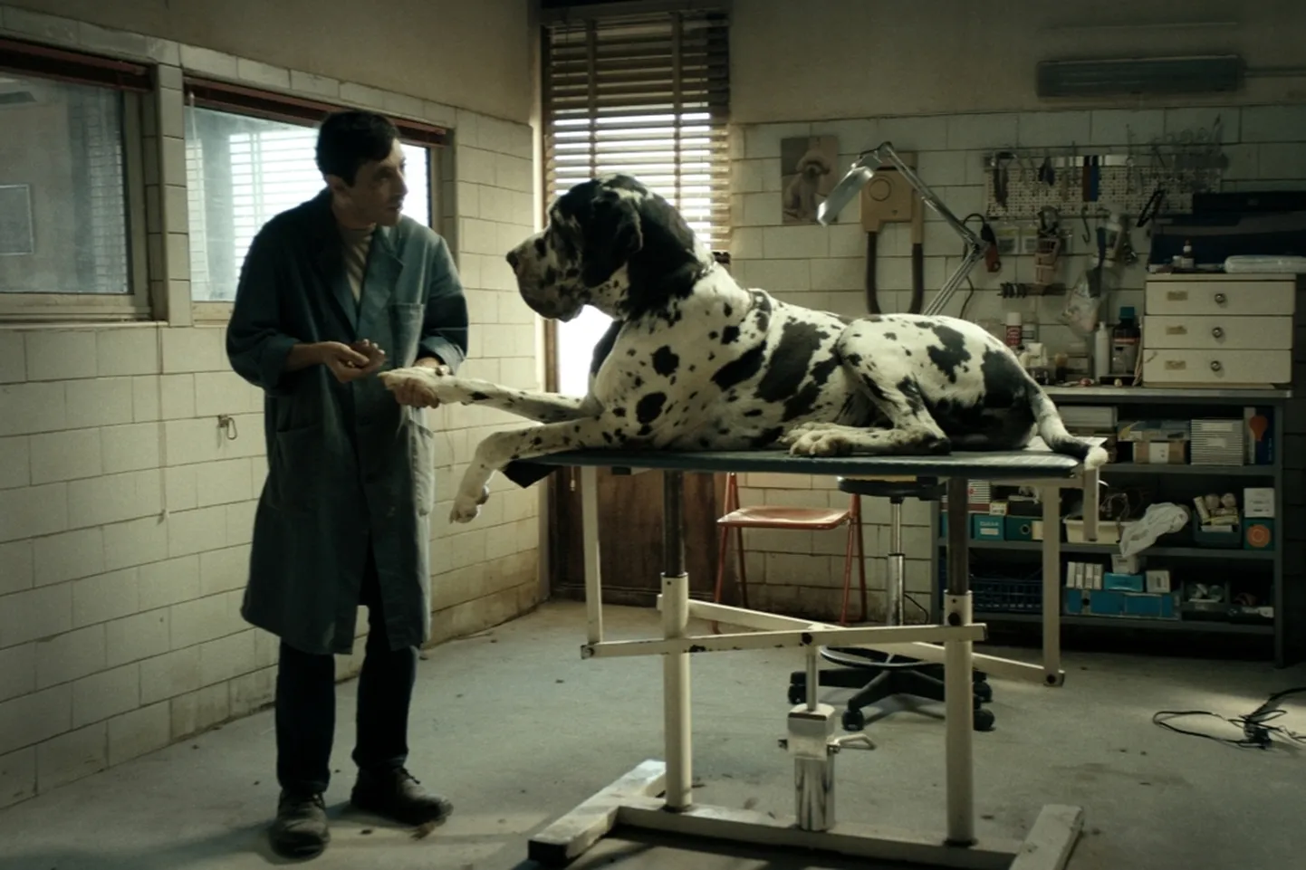 Itaalia psühholoogiline draama «Dogman»