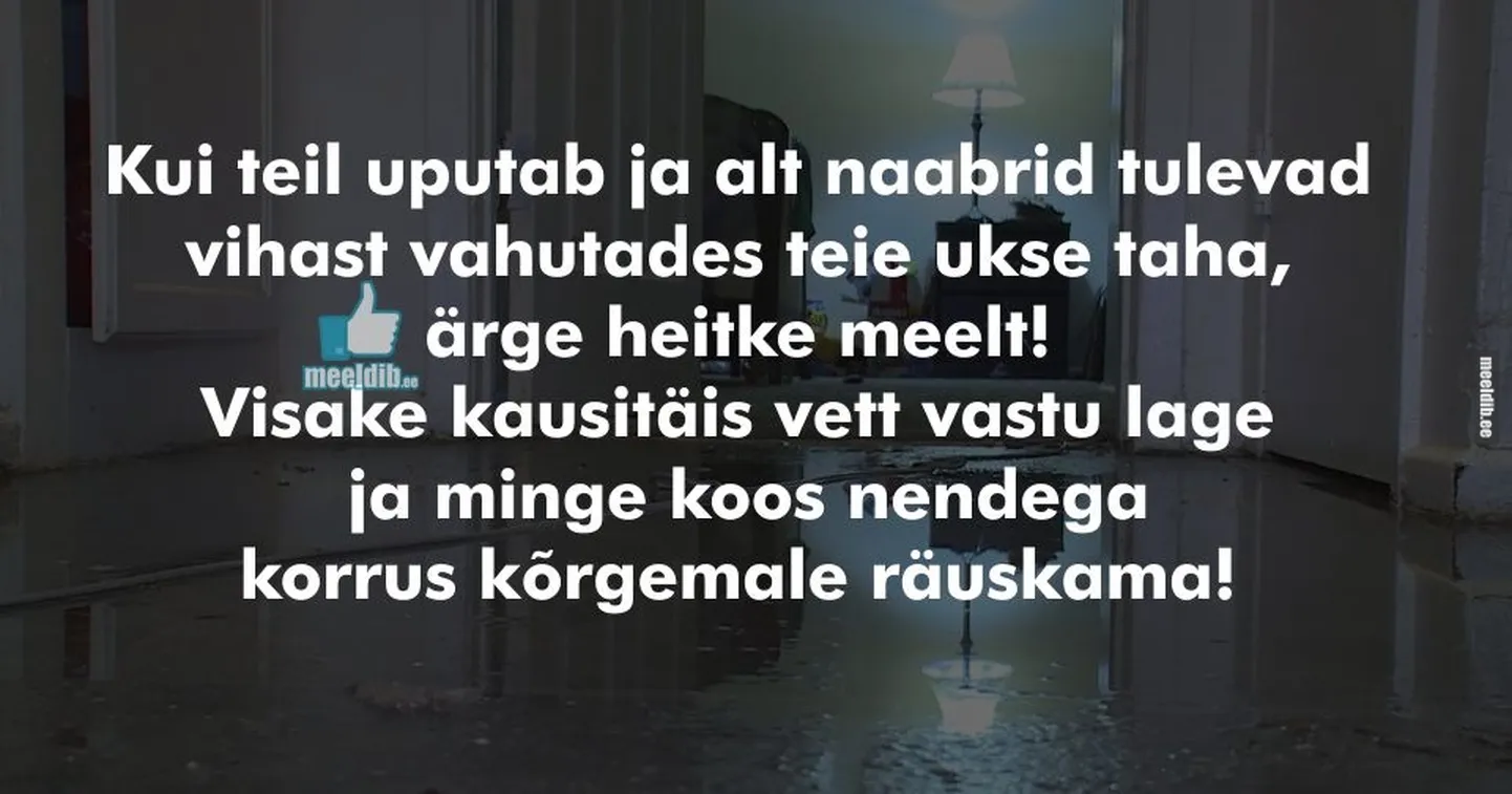Artikli foto
