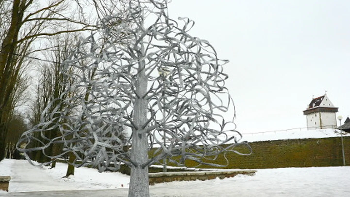 2008. aasta detsembris avati Narva linnuse lähistel sepistatud pulmapuu, mille metallokste külge võivad noorpaarid pulmapäeval kinnitada oma ees- ja perekonnanimedega lehekesed.