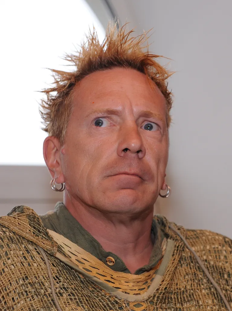 Johnny Rotten. 2008.