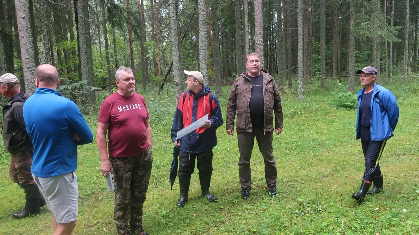 Ringkäigul vaadati üle kõik puud, mis plaanis maha võtta. Esiplaanil rajameister Arne Ermel (paremalt), RMK regiooni metsaülem Tiit Timberg, keskkonnaktivist Indrek Hoop ja RMK piirkonna praaker Velvo Mallene, kellel juba märgistamiseks spreipurk käes on.