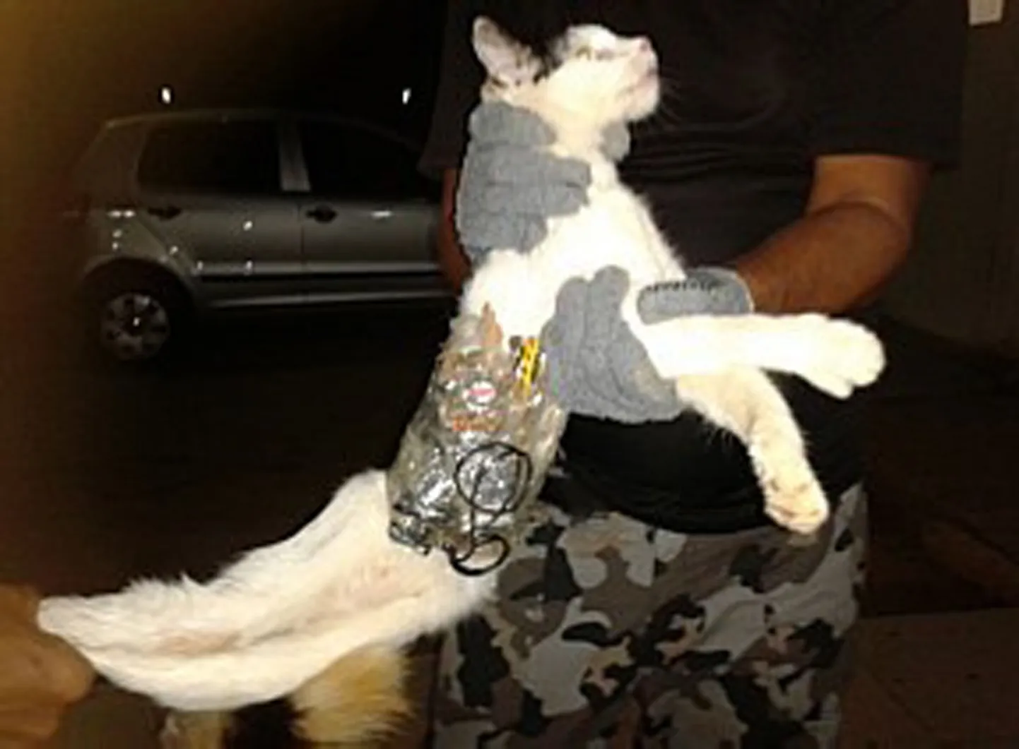 Vangivalvur hoidmas kassi, mis Brasiilia kinnipeetavatele keelatud esemeid viia üritas.