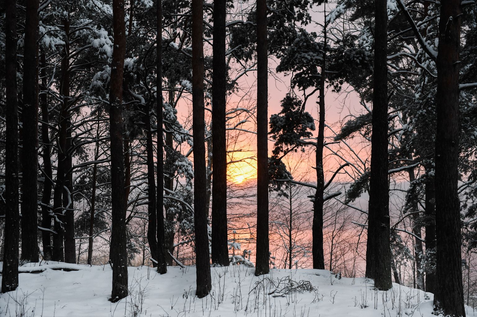 Зимний рассвет на озере Югла
