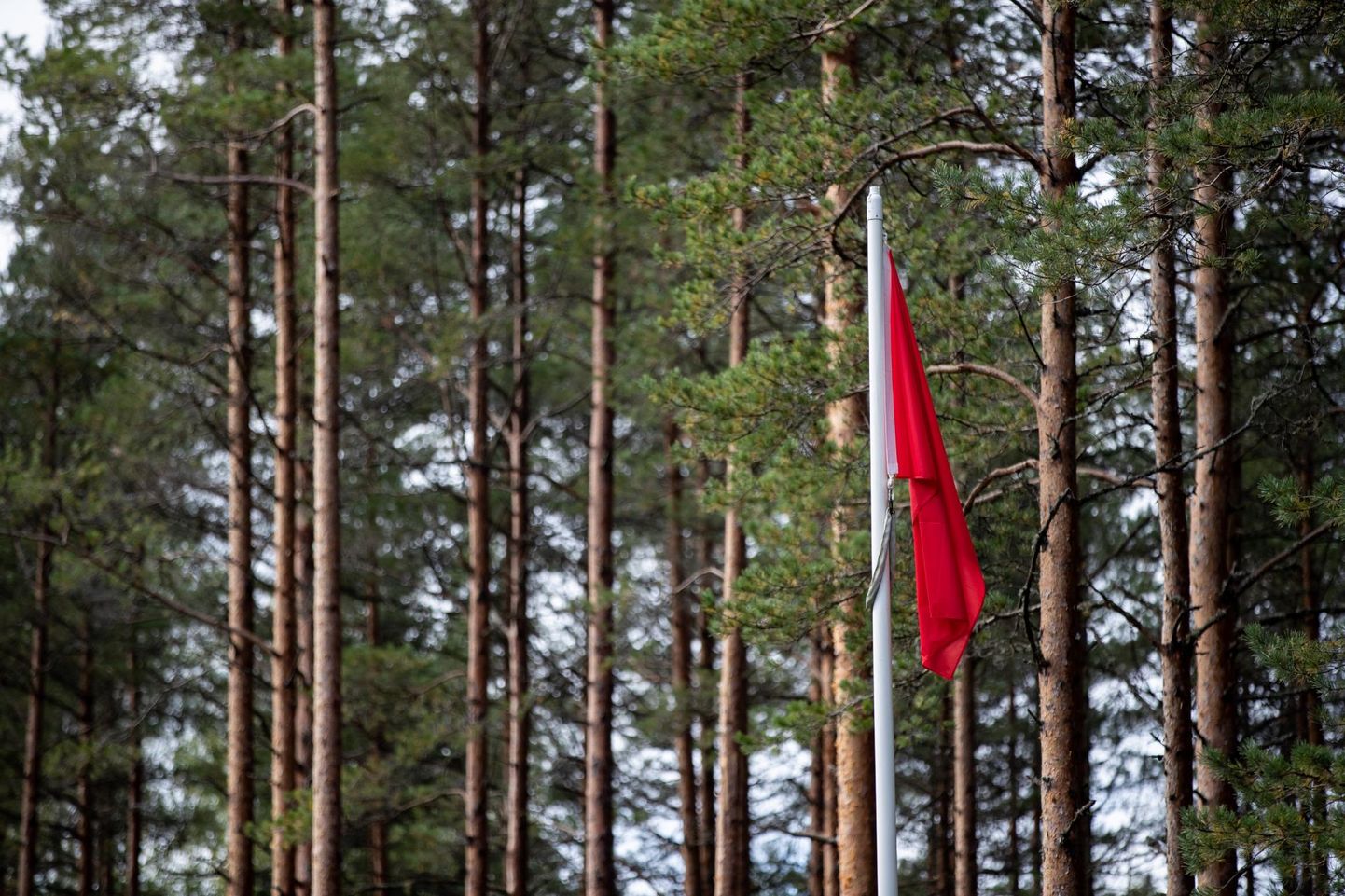 Kui harjutusvälja lähistel heisatakse punane lipp, on seal kõrvalistel isikutel viibida eluohtlik.