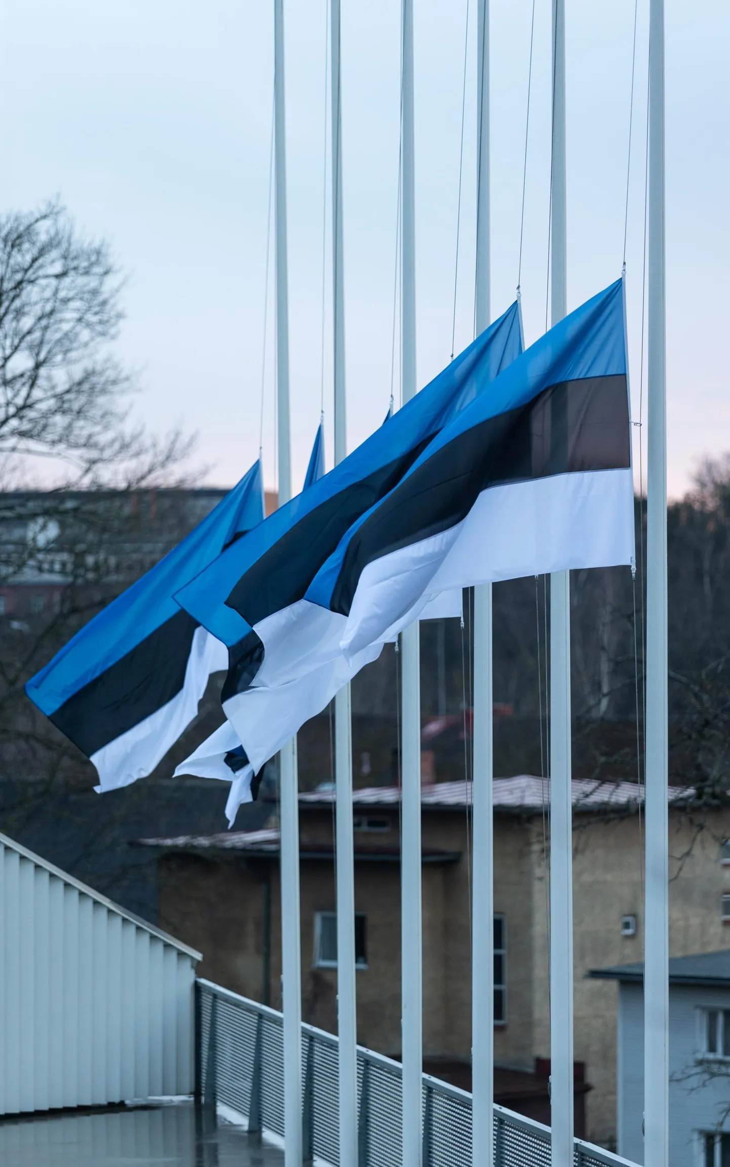 Eesti riigilipp