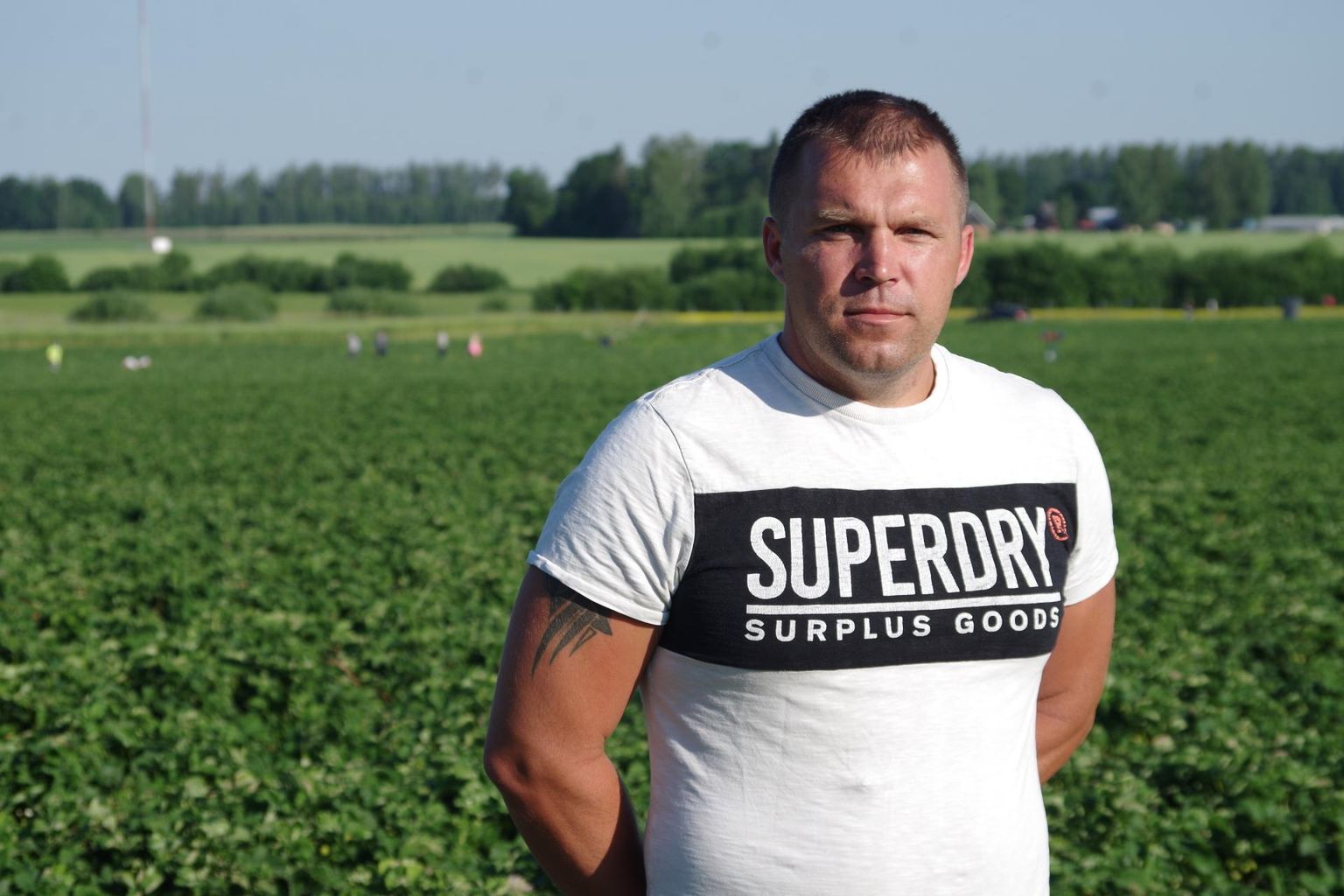 Põlvamaal Ahjal maasikakasvatusega tegeleva Tasuja talu peremees Toomas Lillo tunneb Ukraina tööliste järele suurt puudust.