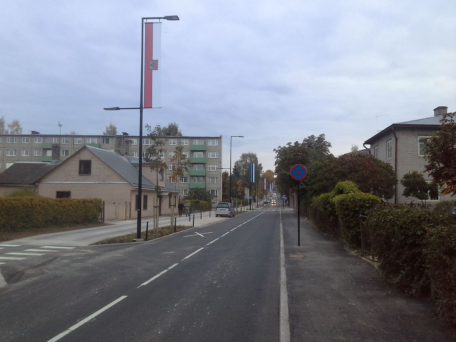 Roosi tänava kaunistamiseks paigaldati valgustuspostidele Tartu linna ja Eesti lipud.