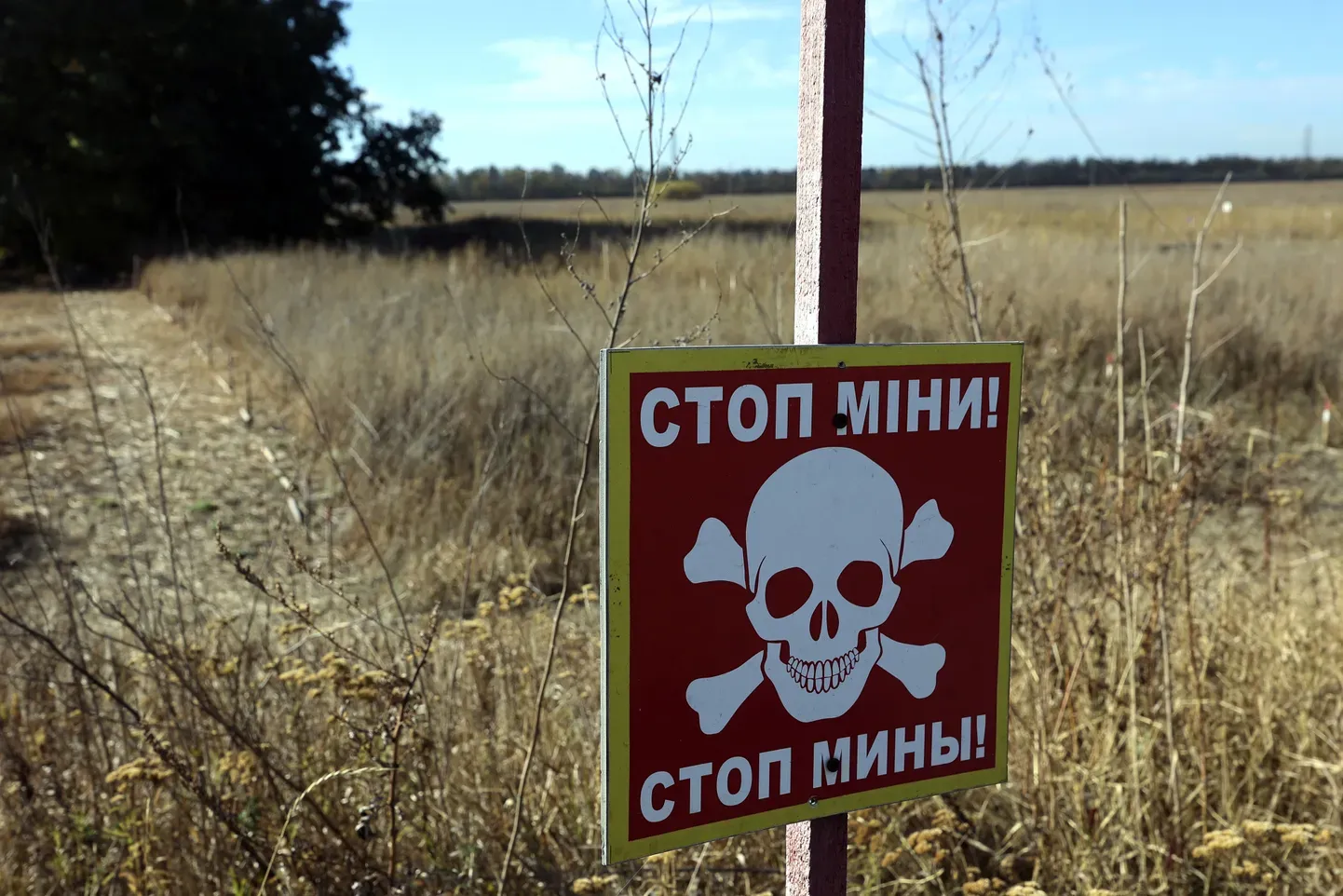 На востоке Украины особенно много мин в Харьковской области, где во многих местах до сих пор стоят знаки, предупреждающие об опасности мин.