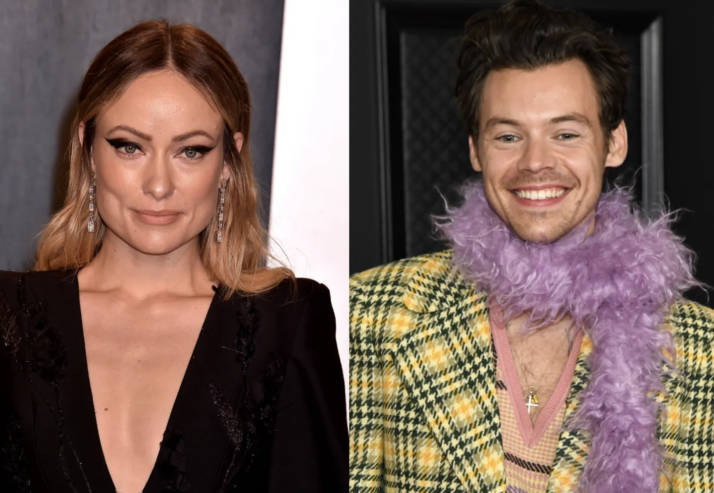 Olivia Wilde ja Harry Styles.